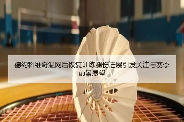 德约科维奇温网后恢复训练腿伤进展引发关注与赛季前景展望